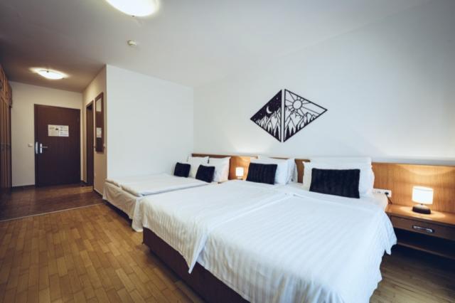 Wellness-Spa-Hotel-Bolfenk