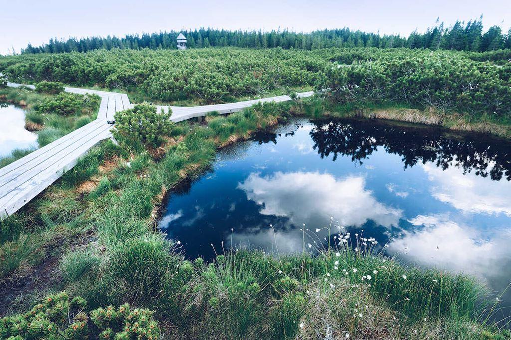 Pohorje