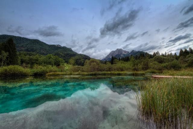 Rezervace Zelenci • alan_kosmac • foto slovenia.info