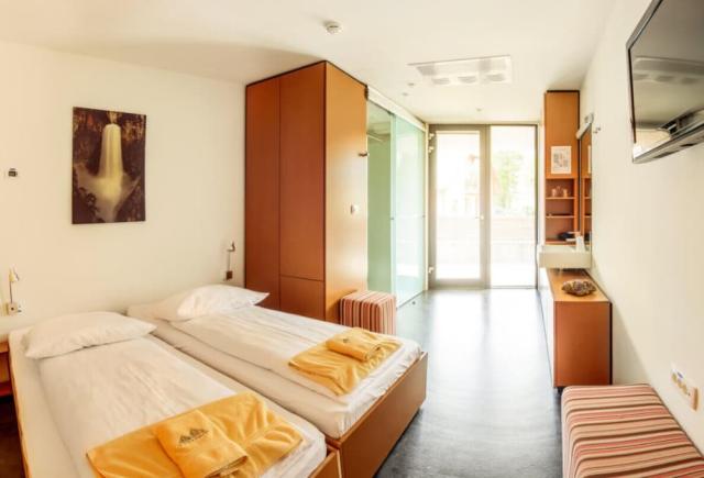 Double room Hotel Sanje ob Soči