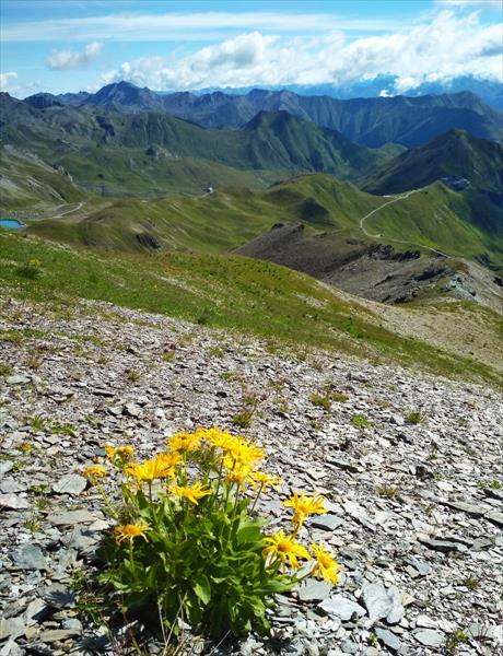 mini-IMG_20200820_164926