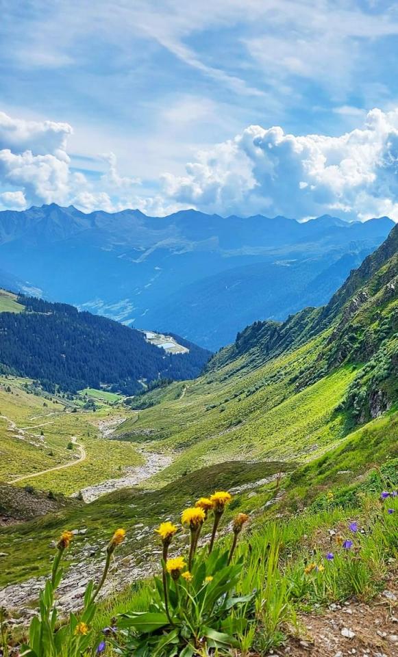 mini-IMG_20200816_180535