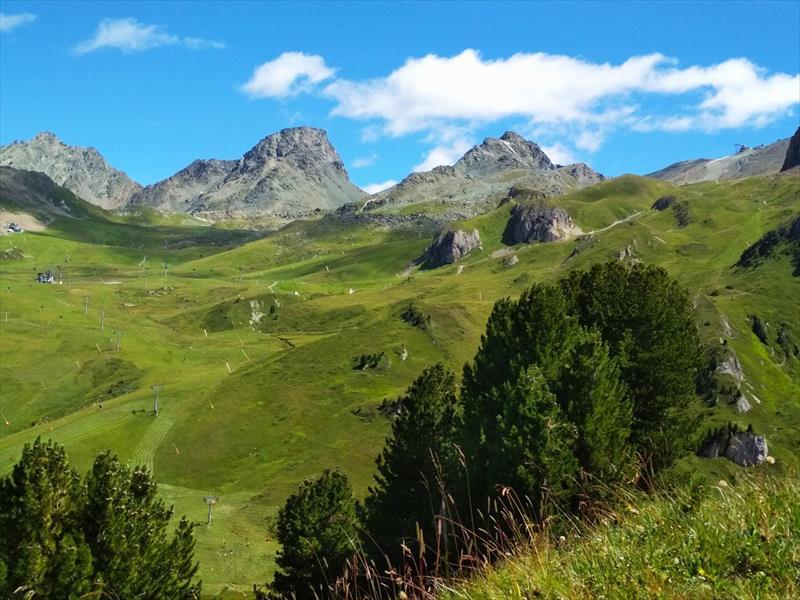 mini-IMG_20200819_154751