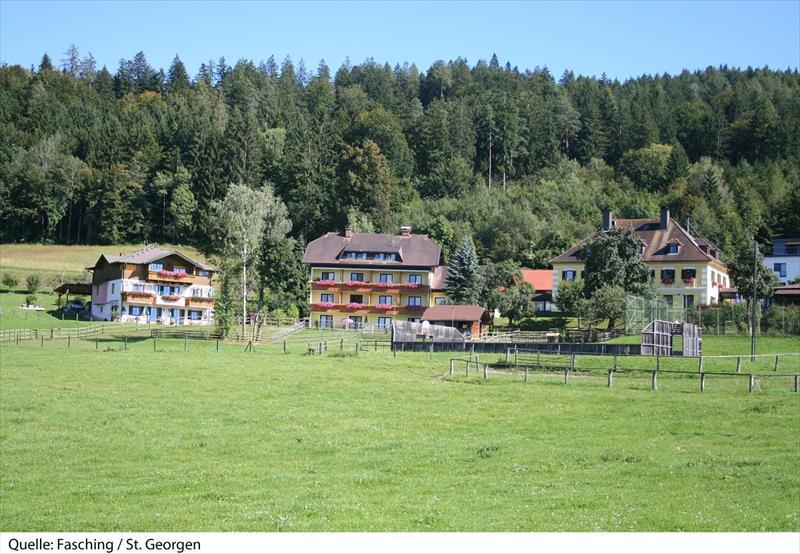 8Fasching_St.Georgen2d-14