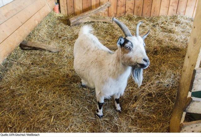 18JUFAGitschtal_Weissbriach6h-17 (2)