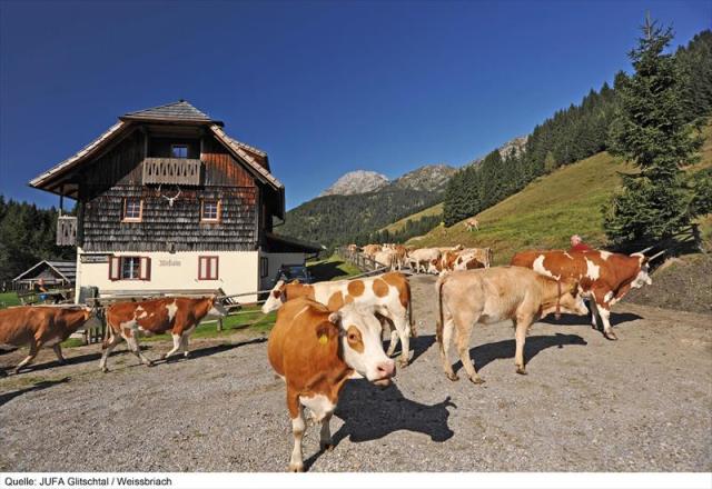 JUFAGitschtal_Weissbriach6g-17