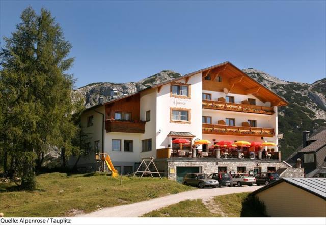 1Alpenrose_Tauplitz2a-19.JPG