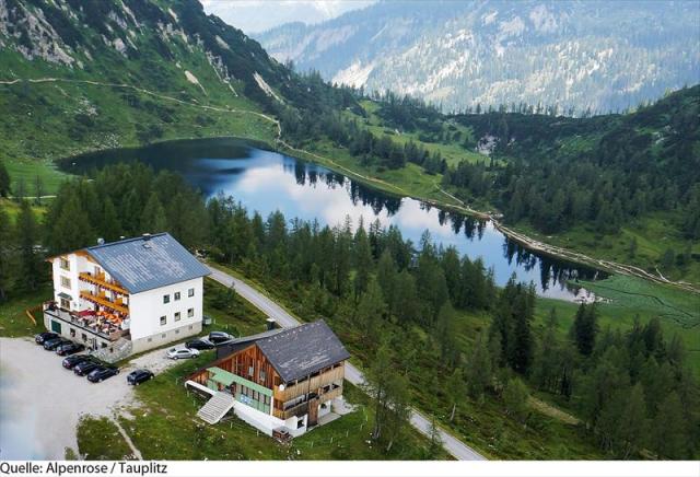 Alpenrose_Tauplitz2c-19