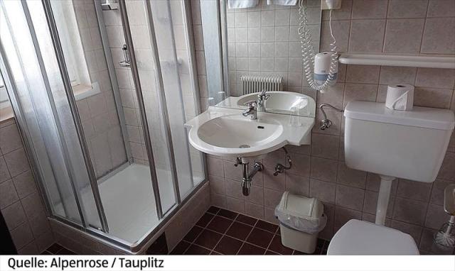 9Alpenrose_Tauplitz4g-19