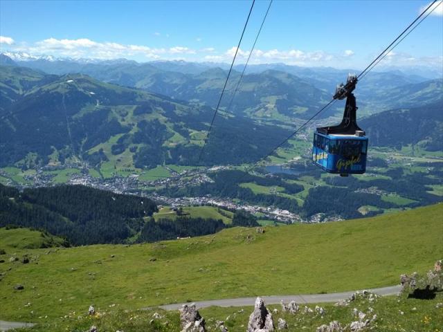 mini-IMG_20200705_123633_1