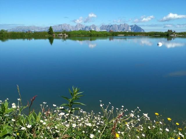 mini-IMG_20200705_104954