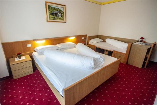 14stella_alpina_predazzo_8149_1