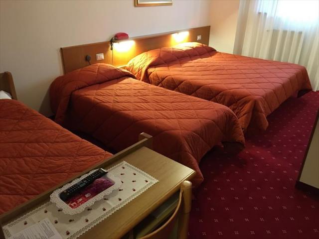3stella_alpina_predazzo__1