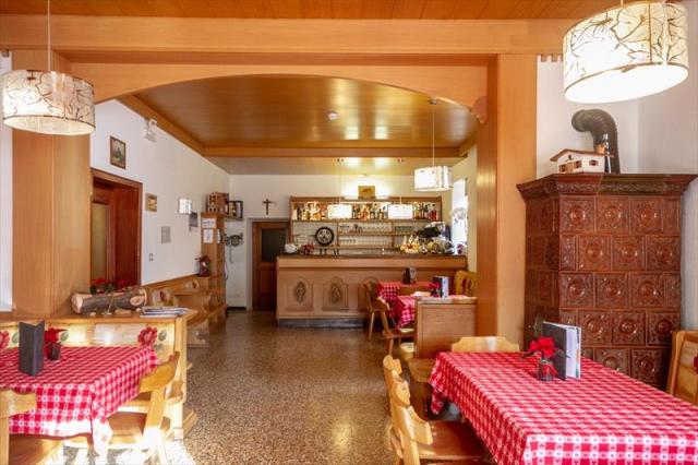 26stella_alpina_predazzo_8_11 (2)