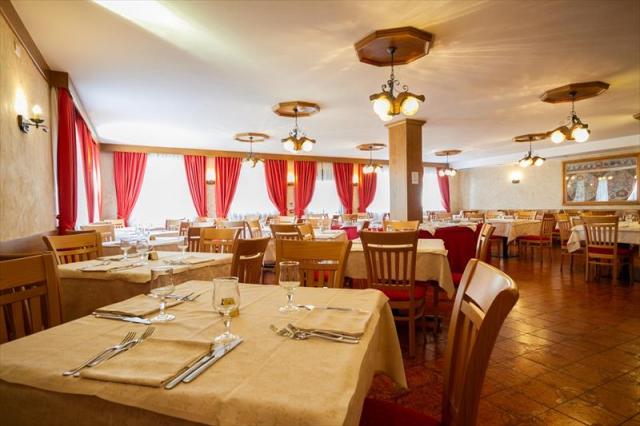 29stella_alpina_predazzo_0_8