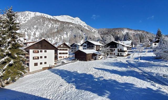 2stella_alpina_predazzo_8_12