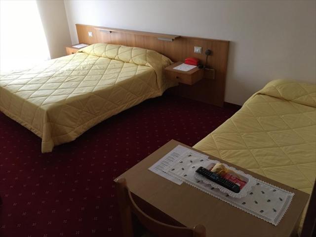 8stella_alpina_predazzo__11