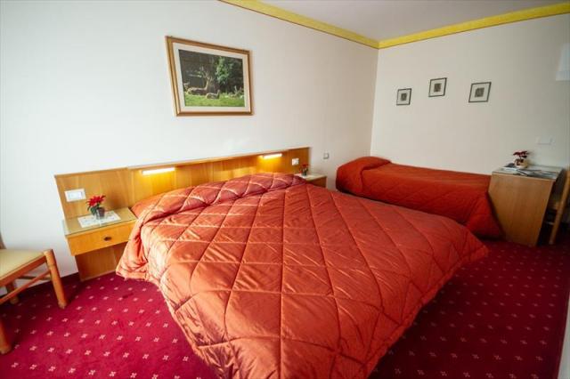 9stella_alpina_predazzo_8_10