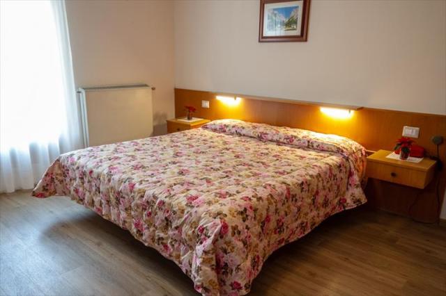 10stella_alpina_predazzo_85_16