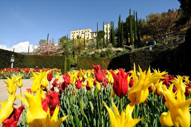 Merano.zahrady.Trauttmansdorfff