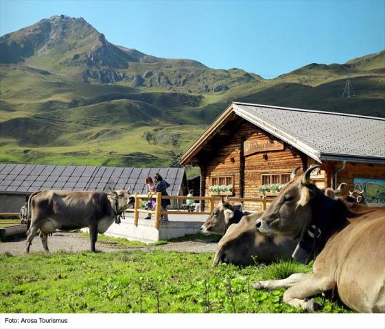 Arosa_Sommer01-06