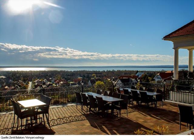 ZenitBalaton_Vonyarcvashegy2d-17