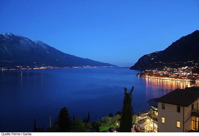 19Palme_Garda2a-17