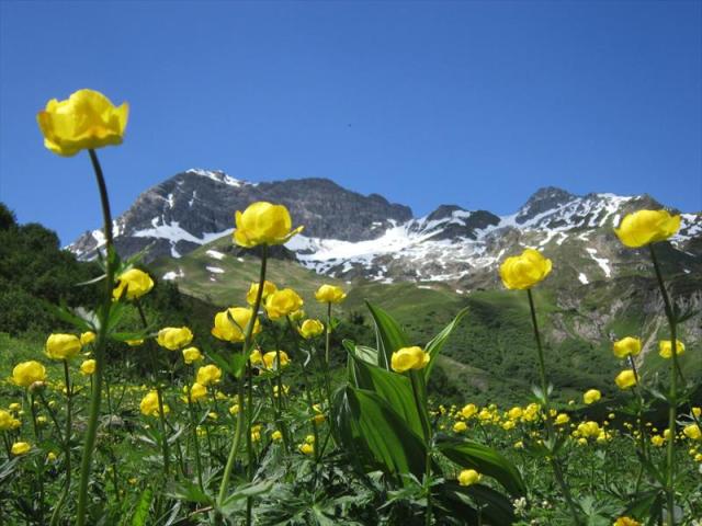 Lechtalské Alpy. Lech.JPG