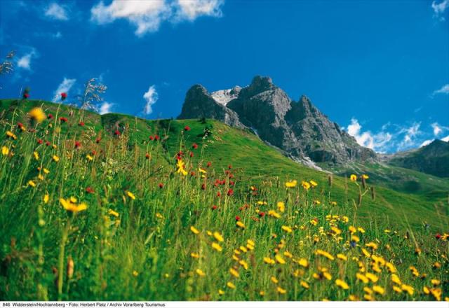 Lechtal.Vorarlberg846_Widderstein,_Hochtannberg