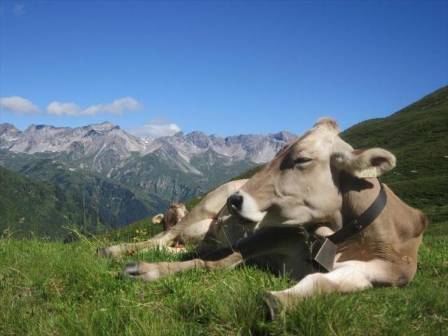 9St.anton1IMG_6264
