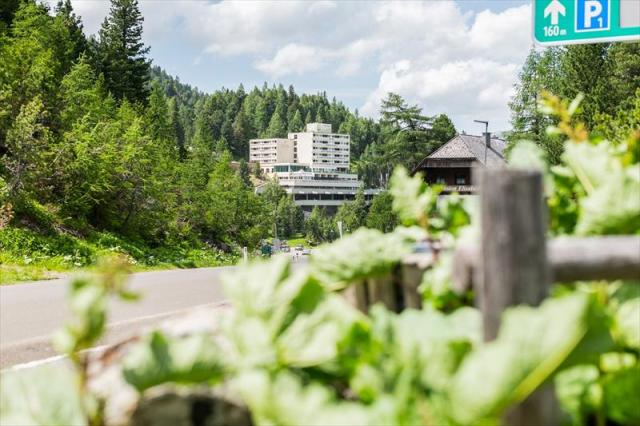 panorama_hotel_turracher_hohe-_43_3