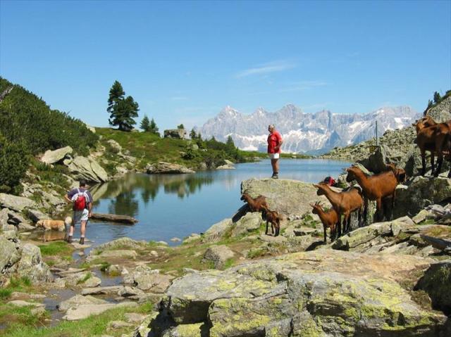 Dachsteinskabomba.spiegelsee-bergidyllejpg