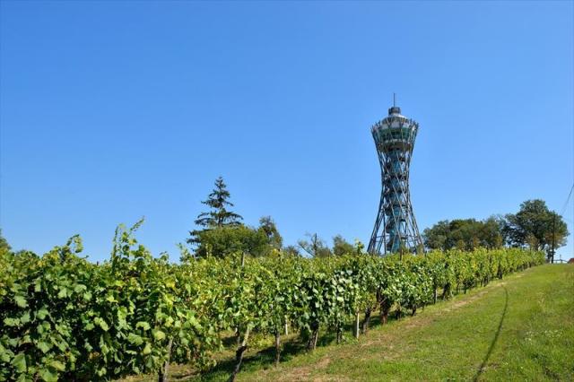 lendava_vinarium_2_miran_kambic-photo-m