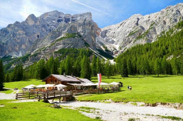 malgaForesta.BraiesGruenwaldalm.1jpg