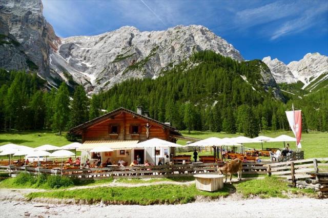 malgaForesta.BraiesGruenwaldalm