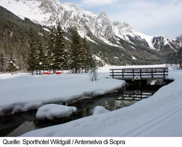 Wildgall_AnterselvaDiSopra6d-18