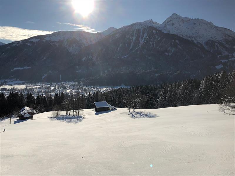 edelweiss_kotschach-mauthen_kotschach-_16