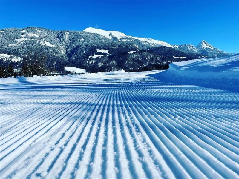 edelweiss_kotschach-mauthen_kotschach-83_7