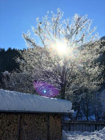 edelweiss_kotschach-mauthen_kotschach-_14