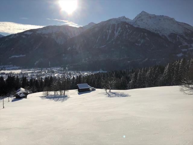 edelweiss_kotschach-mauthen_kotschach-_16