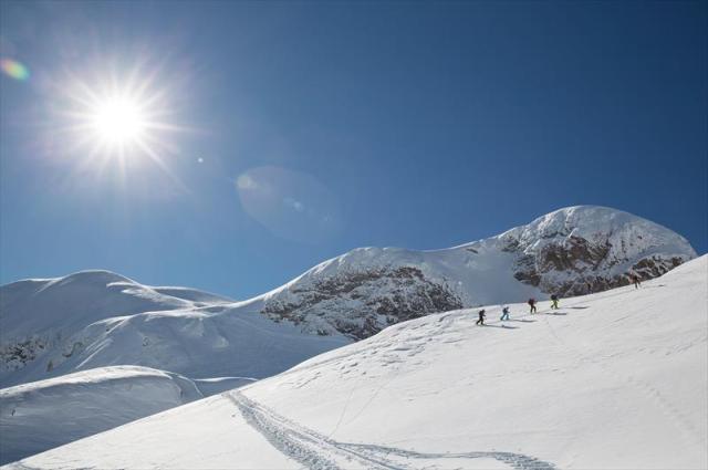 edelweiss_kotschach-mauthen_kotschach-6_4