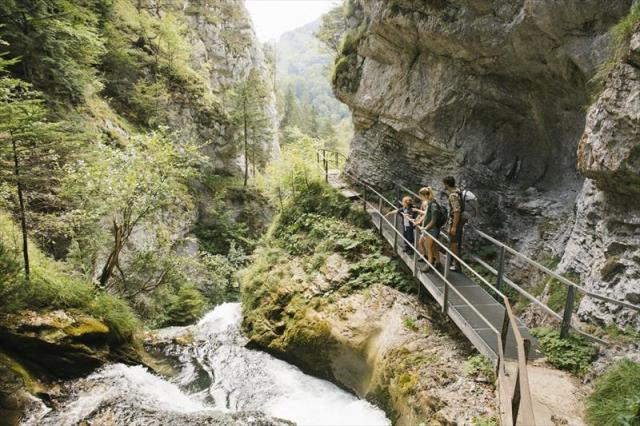 AJ_MOV_FAMILIENWANDERN_0314