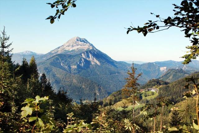 Ctscherblick-Gsingweinfranz