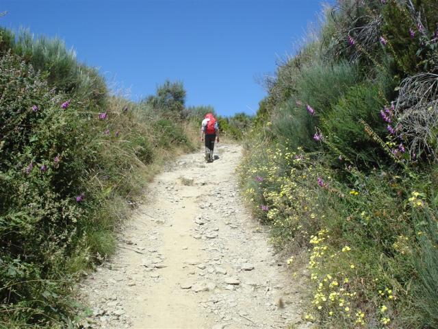 Camino 2011 140.jpg