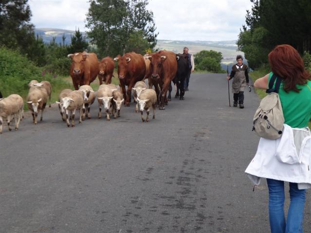 Camino de Santiago 12.JPG
