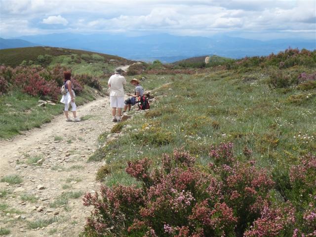 Camino de Santiago 10.JPG