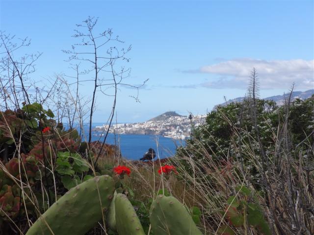 Madeira 36