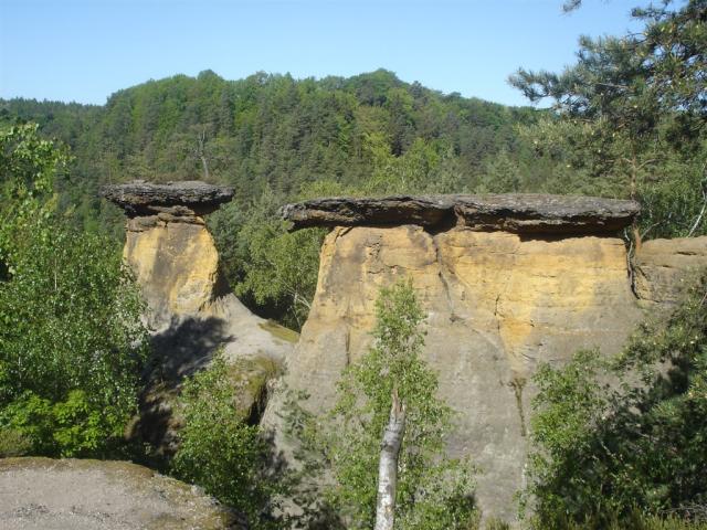 DSC04059.JPG
