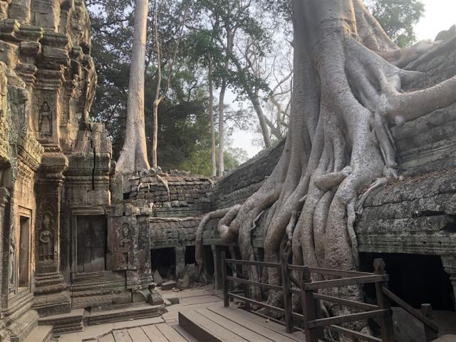 Angkor IMG_6867.jpg