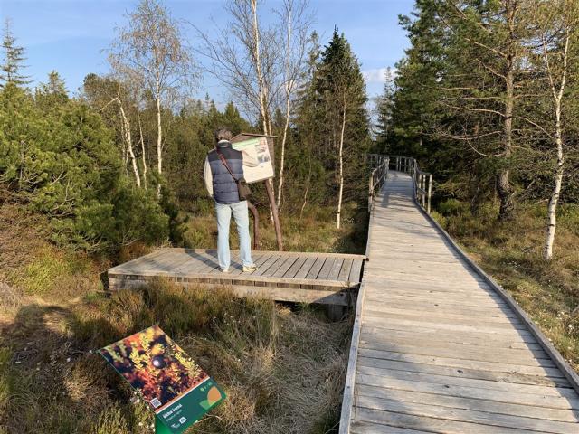 Krušnohoří 11